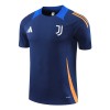 Officiële Voetbalshirt Juventus Pre-Match 2024-25 Grijze - Heren